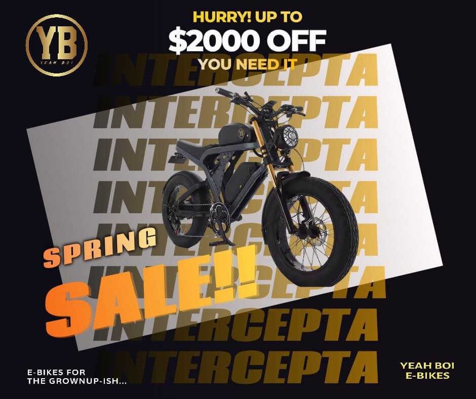 Sprig Sale Promo